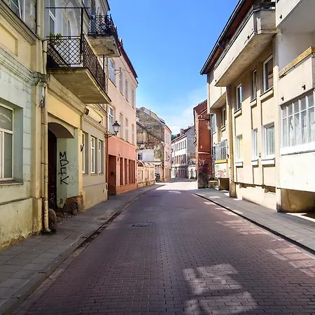 Studio In Old Town 아파트 빌뉴스